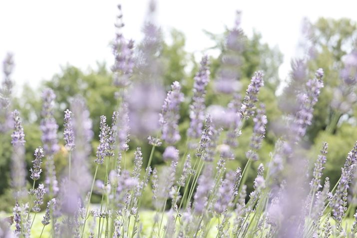 EOS R100ARF28mm F2.8 STMA28mmi35mmZ45mmjAF2.8A1/500bAISO100AzCgoXFI[gAsN`[X^CFX^_[hBeʐ^i6000×4000A6.0MBj