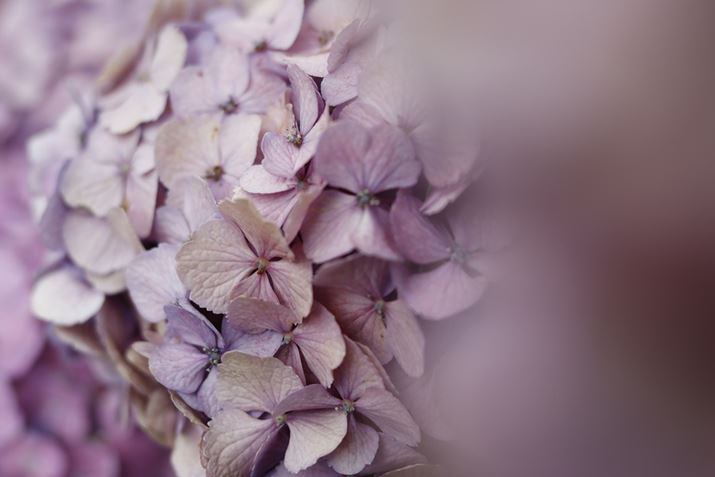 EOS R100ARF28mm F2.8 STMA28mmi35mmZ45mmjAF2.8A1/400bAISO100AzCgoXFI[gAsN`[X^CFX^_[hBeʐ^i6000×4000A5.7MBj