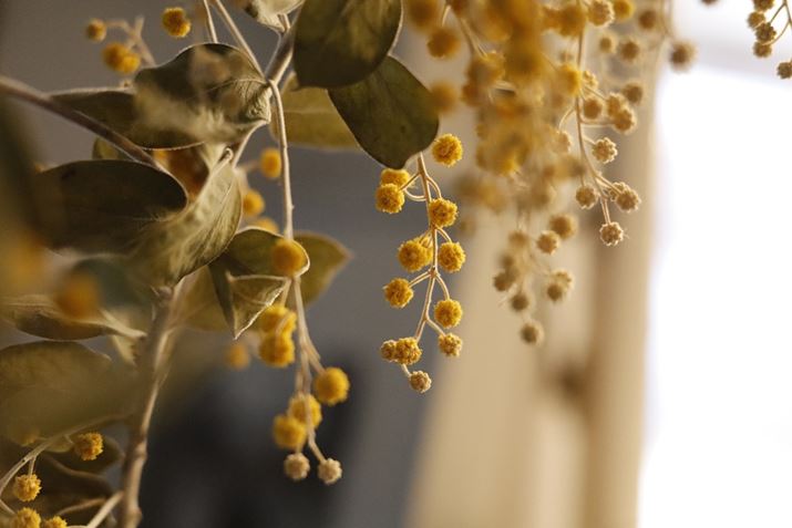 EOS R100ARF28mm F2.8 STMA28mmi35mmZ45mmjAF2.8A1/80bAISO5000AzCgoXFI[gAsN`[X^CFX^_[hBeʐ^i6000×4000A7.2MBj