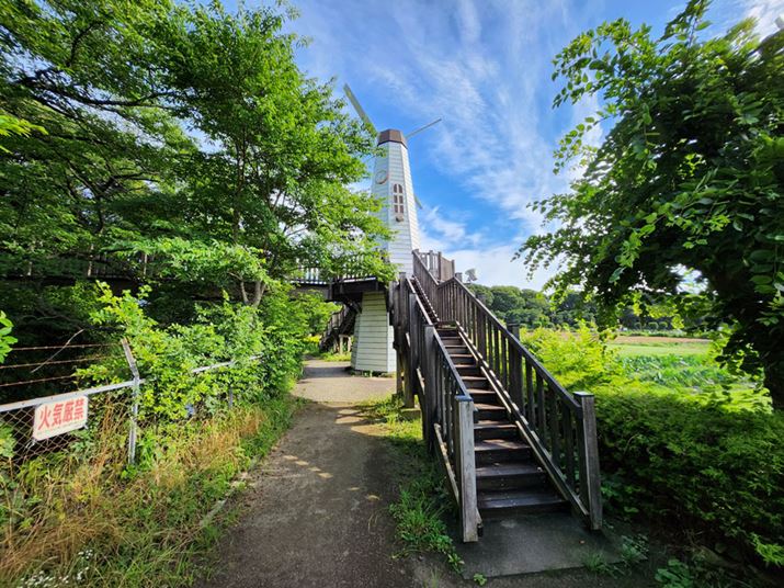 uFold4vŎBei0.6{jBeʐ^F4000×3000A5.15MB