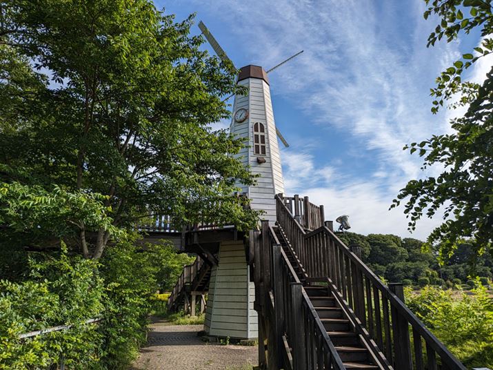 uPixel FoldvŎBei1{jBeʐ^F4000×3000A4.39MB