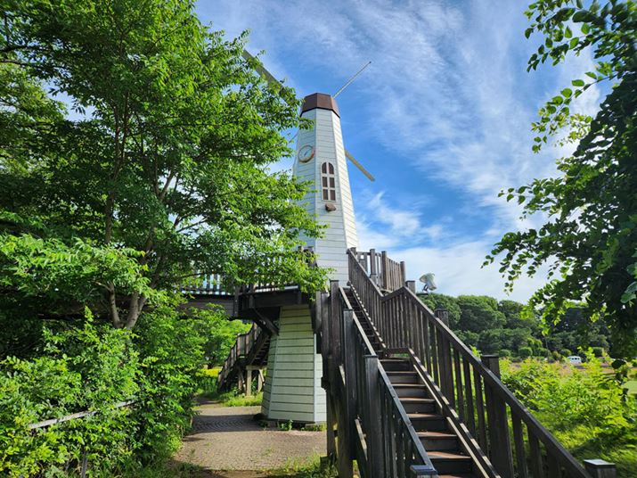 uFold4vŎBei1{jBeʐ^F4000×3000A5.0MB