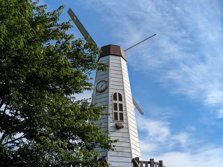 uPixel FoldvŎBei2{jBeʐ^F4000×3000A2.59MB