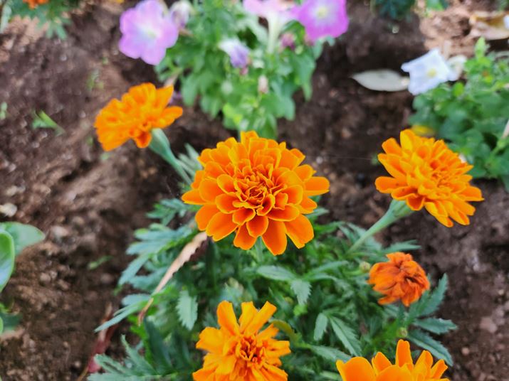 uFold4vŎBei1{jBeʐ^F4000×3000A2.46MB