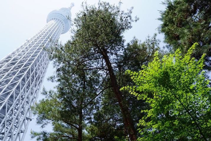 ʃGgX̍Lꂩ瓌XJCc[グ܂BXJCc[̂悤ȃV{bNȔʑ̂́A͂ɂ܂ꍞނƒPył܂BȂ݂ɁAu7Cv̎dオݒuNGCeBuX^Cv́ugtv́AԂ≩FN₩ɋł郂[hBƊԈႦēKpĂ܂܂B炸iȉAccj7CAFE20-70mm F4 GA24mmAF8A1/125bAISO100AzCgoXFI[giWjANGCeBuX^CFgtBeʐ^i6000×4000A19.2MBj