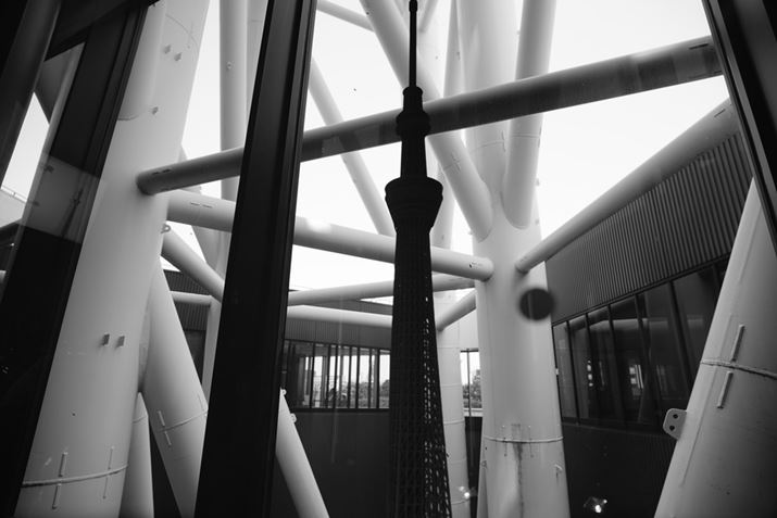 7CAFE20-70mm F4 GA20mmAF4A1/160bAISO100AzCgoXFI[giWjANGCeBuX^CFBeʐ^i6000×4000A7.7MBj