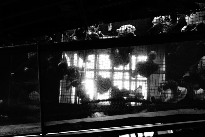 7CAFE20-70mm F4 GA38mmAF4A1/40bAISO320AzCgoXFI[gizCgDjANGCeBuX^CFX^_[hAsN`[GtFNgFnCRgXgmNBeʐ^i6000×4000A7.6MBj