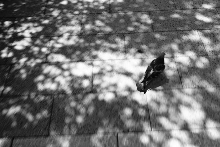 ƒᑬłAuBngɑ΂u^b`gbLOvgĒǔȂBe܂7CAFE20-70mm F4 GA40mmAF8A1/50bAISO100AzCgoXFzANGCeBuX^CFBeʐ^i6000×4000A11.3MBj