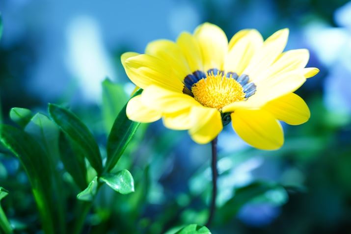 7CAFE20-70mm F4 GA58mmAF4A1/1250bAISO100AzCgoXFMANGCeBuX^CFrrbhBeʐ^i6000×4000A9.8MBj