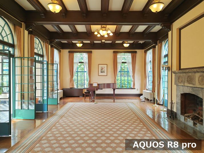 AQUOS R8 proAY[F1.0{/24mmAxFISO196AVb^[Xs[hF1/100bAilFF1.9AzCgoXFI[gAI[gHDRFIBeʐ^i3968×2976A3.2MBj