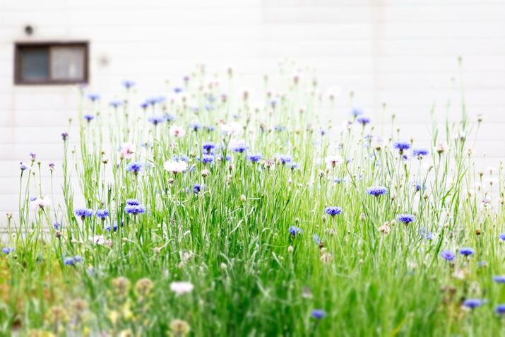 LmEOS R8ARF24-50mm F4.5-6.3 IS STMA50mmAF6.3A1/60bAISO200A+1.3EVAzCgoXFI[gAsN`[X^CFI[gANGCeButB^[FWI}Beʐ^i6000×4000A8.8MBj