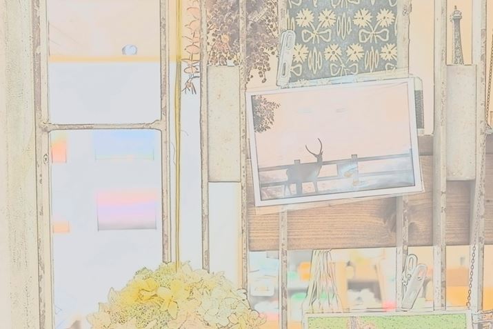 EOS R8ARF24-50mm F4.5-6.3 IS STMA38mmAF6.3A1/80bAISO640AzCgoXFI[gAsN`[X^CFI[gANGCeButB^[FʕBeʐ^i6000×4000A10.3MBj