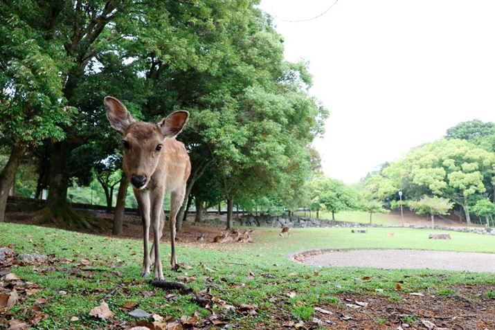 InEEOS R8ARF24-50mm F4.5-6.3 IS STMA50mmAF7.1A1/80bAISO800A+0.7EVAzCgoXFI[gAsN`[X^CFI[gBeʐ^i6000×4000A16.3MBj