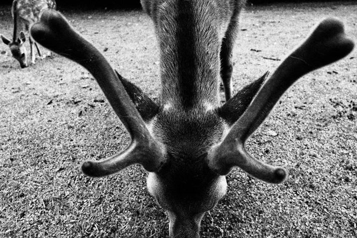 hȊp̗YWJɍŒZBe܂œB̌AHɖȂ̎qɓ˂܂EOS R8ARF24-50mm F4.5-6.3 IS STMA24mmAF7.1A1/125bAISO100A-0.7EVAzCgoXFI[gAsN`[X^CFI[gANGCeButB^[FtmNBeʐ^i6000×4000A12.9MBj