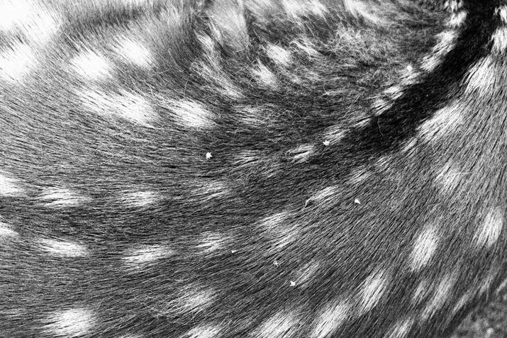 EOS R8ARF24-50mm F4.5-6.3 IS STMA24mmAF6.3A1/100bAISO100A-0.3EVAzCgoXFI[gAsN`[X^CFI[gANGCeButB^[FtmNBeʐ^i6000×4000A20.3MBj