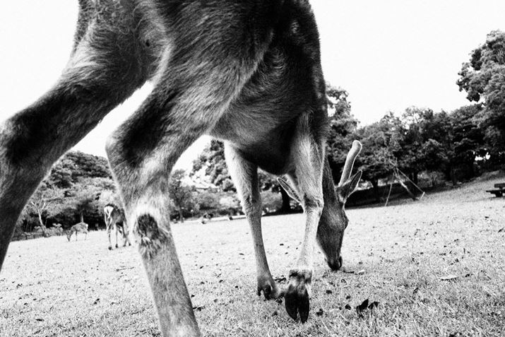 EOS R8ARF24-50mm F4.5-6.3 IS STMA24mmAF4.5A1/320bAISO100AzCgoXFI[gAsN`[X^CFI[gANGCeButB^[FtmNBeʐ^i6000×4000A12.3MBj