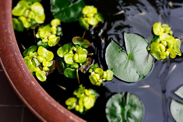 EOS R8ARF24-50mm F4.5-6.3 IS STMA50mmAF6.3A1/60bAISO400AzCgoXFI[gAsN`[X^CFI[gANGCeButB^[FWI}Beʐ^i6000×4000A8.4MBj