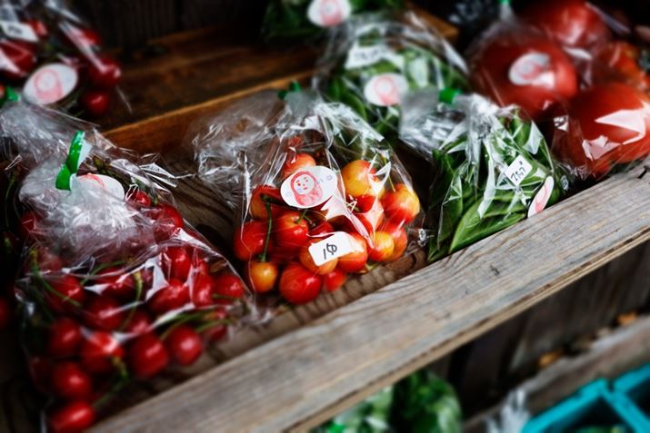 uWI}v͔FN₩ɂȂ̂łڂ̐Ԃ܂EOS R8ARF24-50mm F4.5-6.3 IS STMA47mmAF6.3A1/60bAISO160AzCgoXFI[gAsN`[X^CFI[gANGCeButB^[FWI}Beʐ^i6000×4000A9.3MBj