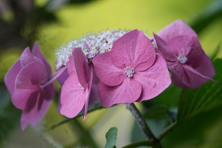 7 IVA60-600mm F4.5-6.3 DG DN OSA600mmAF6.3A1/160bAISO400AzCgoXFI[gANGCeBubNFSTBeʐ^i7008×4672A17.9MBj