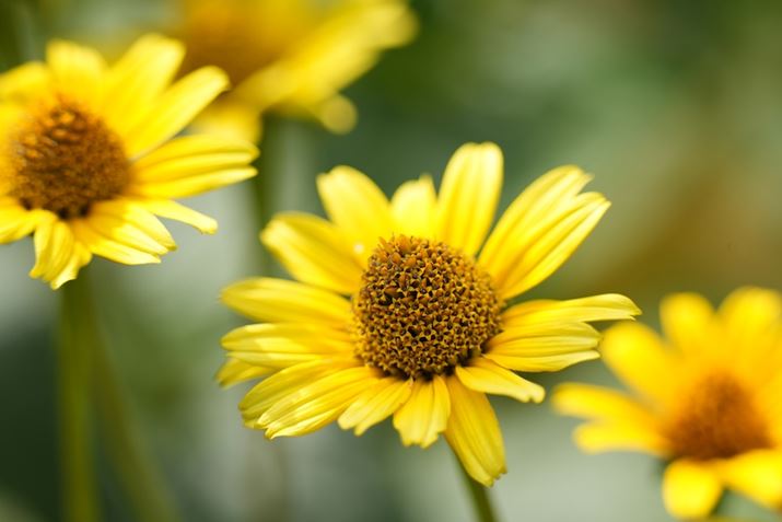 7 IVA60-600mm F4.5-6.3 DG DN OSA200mmAF5.6A1/800bAISO400AzCgoXFI[gANGCeBubNFSTBeʐ^i7008×4672A17.0MBj