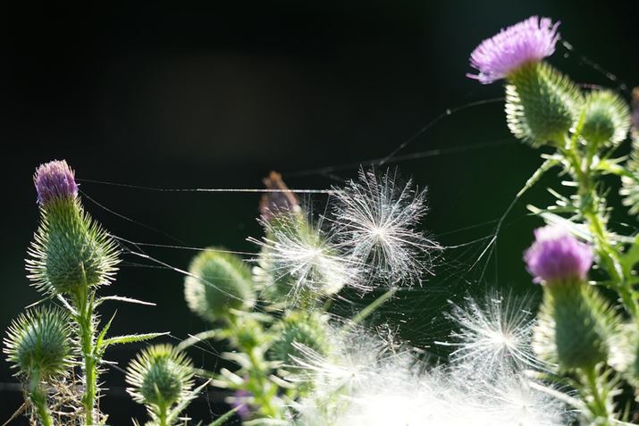 7 IVA60-600mm F4.5-6.3 DG DN OSA304mmAF6.3A1/320bAISO400AzCgoXFI[gANGCeBubNFSTBeʐ^i7008×4672A20.0MBj