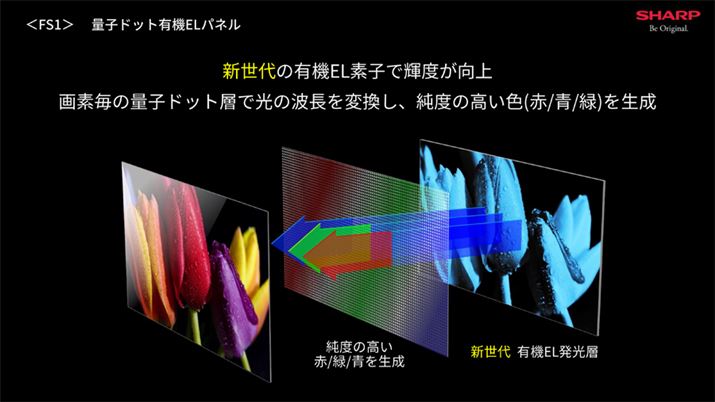 L@ELw̏ɗʎqhbgwzuČ̔gϊ邱ƂŁAx̍Fi//΁jČłQD-OLEDBuFS1Cvō̗pplł́AV̗L@ELfq̗p邱ƂŋPxサĂƂ