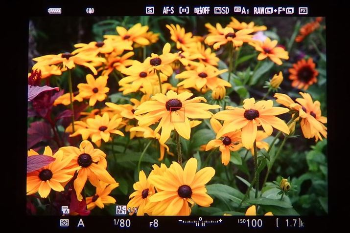 RpNgfW^JŁuZ 6IIṽt@C_[BeĂ݂܂Bɍiȉf傫ȉʂŌ邱Ƃł܂