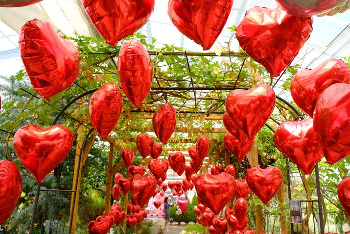 n[g̃A[`܂X-T5AXF18-55mmF2.8-4 R LM OISA18mmi35mmZ27mmjAF5A1/280bAISO400AzCgoXFAtBV~[VFVelvia