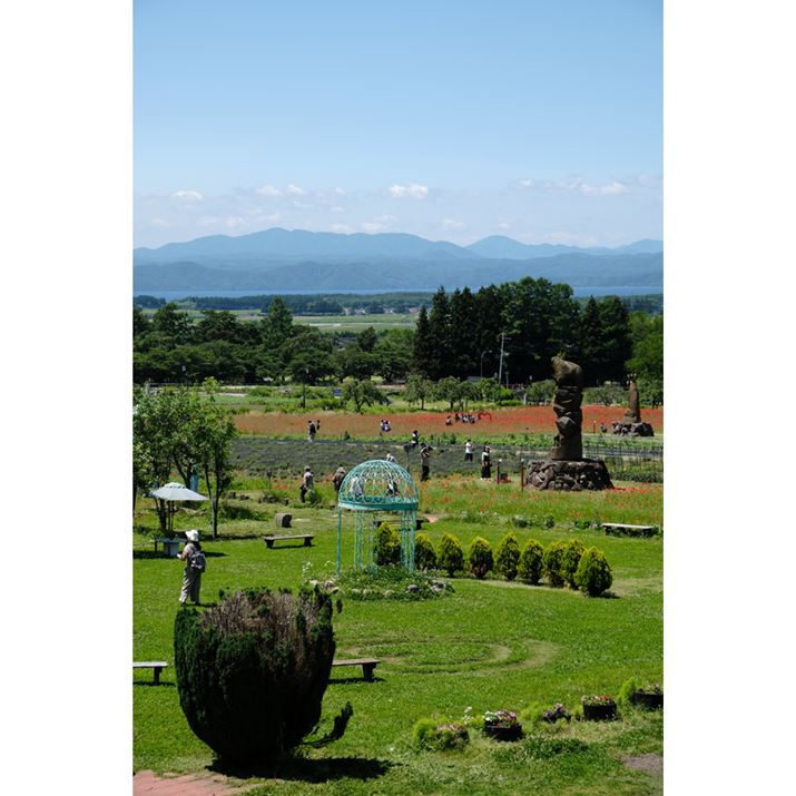 AuXJCBAn[uցBɒc΂܂B10[g̕~nɃn[u400ލ͔|Ă邻łX-T5AXF18-55mmF2.8-4 R LM OISA55mmi35mmZ83mmjAF8A1/680bAISO400AzCgoXFAtBV~[VFPRO Neg.Hi