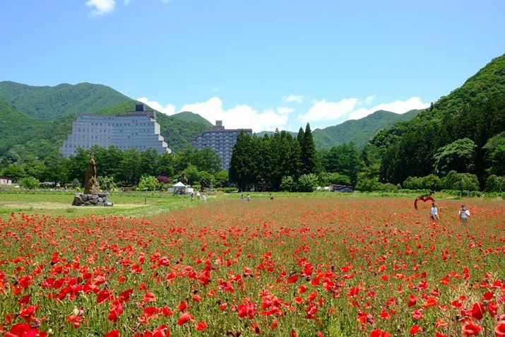 ilF8ŎBeB̖Kꂽ6̓|s[⃉x_[ꂢɍ炫ւĂ܂Bߌi牓i܂ŁAɃV[vȎdオłX-T5AXF18-55mmF2.8-4 R LM OISA23mmi35mmZ35mmjAF8A1/150bAISO125AzCgoXFAtBV~[VFVelviaAJ[N[EGtFNgF