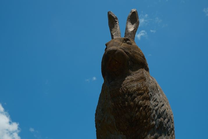 X-T5AXF18-55mmF2.8-4 R LM OISA36mmi35mmZ54mmjAF8A1/340bAISO125AzCgoXFAtBV~[VFmX^WbNlKAJ[N[EGtFNgFBeʐ^i7728×5152A19.0MBj