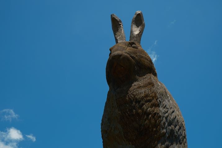 X-T5AXF18-55mmF2.8-4 R LM OISA36mmi35mmZ54mmjAF8A1/180bAISO64AzCgoXFAtBV~[VFmX^WbNlKAJ[N[EGtFNgFBeʐ^i7728×5152A18.7MBj