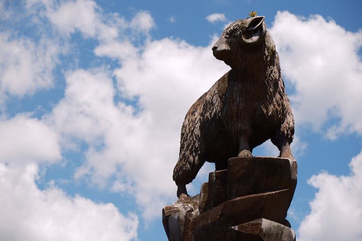 Ȃ݂ɉł́AȃJi_lƂɂ\x̋ؒ܂BO̒̂ЂƂX-T5AXF18-55mmF2.8-4 R LM OISA55mmi35mmZ83mmjAF5A1/2000bAISO320AzCgoXFu2AtBV~[VFmX^WbNlKAJ[N[EGtFNgFBeʐ^i7728×5152A18.0MBj