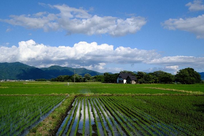 cn[uł̎BeIāAcwɖ߂܂Bӂɂ͖pLOقȂǂ܂X-T5AXF30mmF2.8 R LM WR MacroA30mmi35mmZ46mmjAF8A1/800bAISO200AzCgoXFAtBV~[VFVelviaAOCEGtFNgFx-/x-