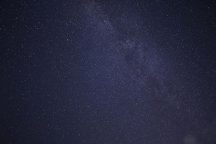 uX^[[iCg v\tgvtĎBeʐ^ƔׂāAׂہBS̓IɃ}[^ɐFԂ肵Ă܂Z 7IIANIKKOR Z 20mm f/1.8 SAF1.8A15bAISO2500AzCgoXFFuAsN`[Rg[FX^_[hAANeBuD-CeBOFȂABlbgRg[FWA䂪ݕ␳FAܕ␳FBeʐ^i8256×5504A23.5MBj