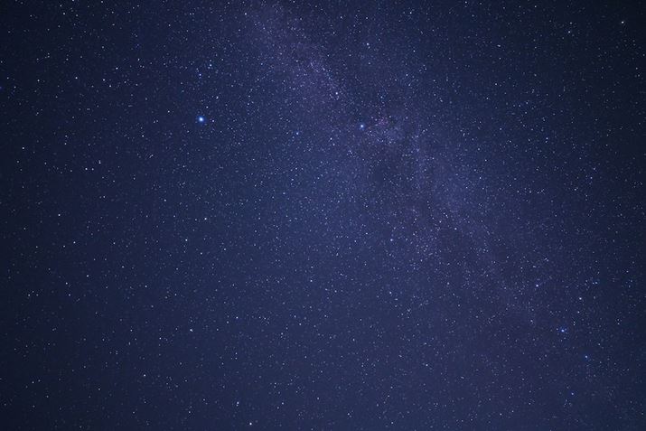 uX^[[iCg v\tgvtĎBeʐ^łB邢݁Ȃ傫BełĂ܂B܂AFԂ}AꂢȐBeł܂Z 7IIANIKKOR Z 20mm f/1.8 SAF1.8A15bAISO4000AzCgoXFFuAsN`[Rg[FX^_[hAANeBuD-CeBOFȂABlbgRg[FWA䂪ݕ␳FAܕ␳FBeʐ^i8256×5504A23.4MBj