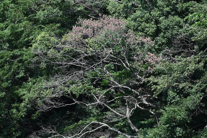 Z 8ANIKKOR Z 180-600mm f/5.6-6.3 VRA180mmAF5.6A1/100bAISO64AzCgoXFI[gAsN`[Rg[FX^_[hBeʐ^i8256×5504A38.2MBj