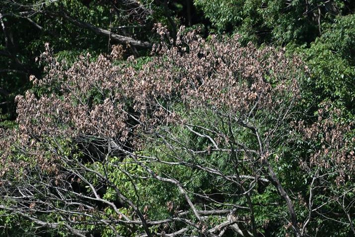 Z 8ANIKKOR Z 180-600mm f/5.6-6.3 VRA600mmAF6.3A1/125bAISO64AzCgoXFI[gAsN`[Rg[FX^_[hBeʐ^i8256×5504A33.1MBj