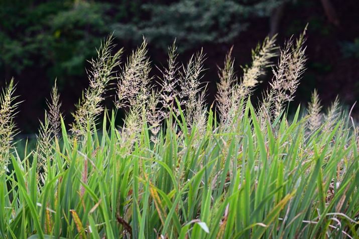 Z 8ANIKKOR Z 180-600mm f/5.6-6.3 VRA270mmAF6.3A1/60bAISO400AzCgoXFI[gAsN`[Rg[FX^_[hBeʐ^i8356×5504A23.4MBj