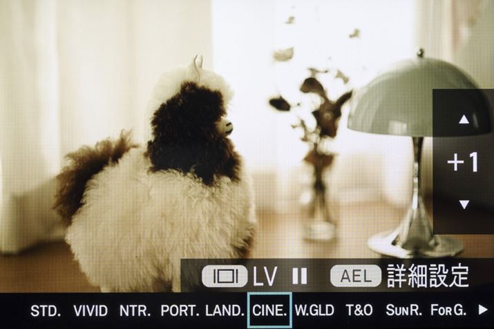 uCOLORv{^ݒłJ[[hBڂƂɌʂ̋p[^[𒲐ł܂BV[ʑ̂ɍ킹āAD݂̃eCXgtł̂́BЌʓIɊp@\ł