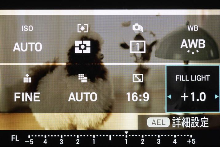 Fill LightQSj[Ił܂B0.2XebvA±5iKŒ\