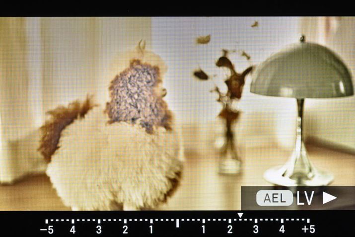 Fill Light͎ۂ̌ʂAEL{^vr[ł̂֗BOɊmF̂AʂKpł܂