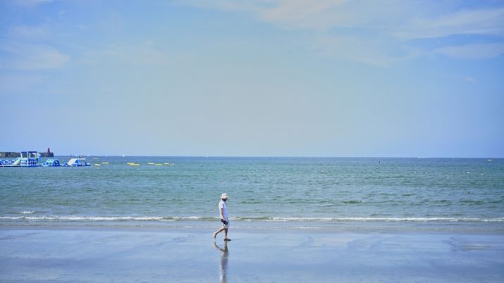 fp LA50mm F1.4 DG DNAF1.4A1/4000bAISO100AzCgoXFiB4AG6jAJ[[hFFOV NVbNu[AAXyNgF16F9AFill LightF+1