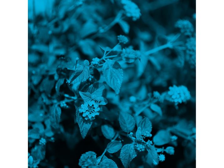 J[[h̓j[NȎdオݒA낢뎎Ȃ܂Bł̓fIg[ݒBfIg[͐F̕ωɉ10ނ̃vZbgpӂĂ܂fp LA50mm F1.4 DG DNAF1.4AISO100A1/2000bAJ[[hFfIg[ B2AAXyNgF1:1Beʐ^i6328×6328A17.3MBj