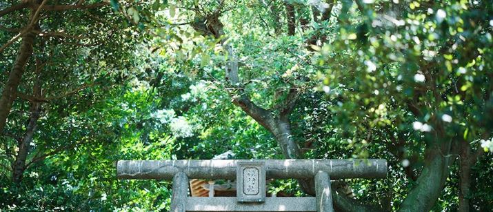 fp LA50mm F1.4 DG DNAF1.4A1/200bAISO100AzCgoXFI[giFcjAJ[[hFpE_[u[AAXyNgF21:9Beʐ^i9520×4080A21.1MBj