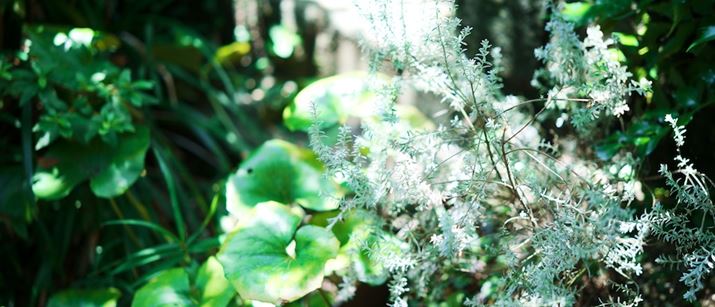 fp LA50mm F1.4 DG DNAF1.4A1/250bAISO100AzCgoXFI[giFcjAJ[[hFpE_[u[AAXyNgF21:9Beʐ^i9520×4080A17.6MBj