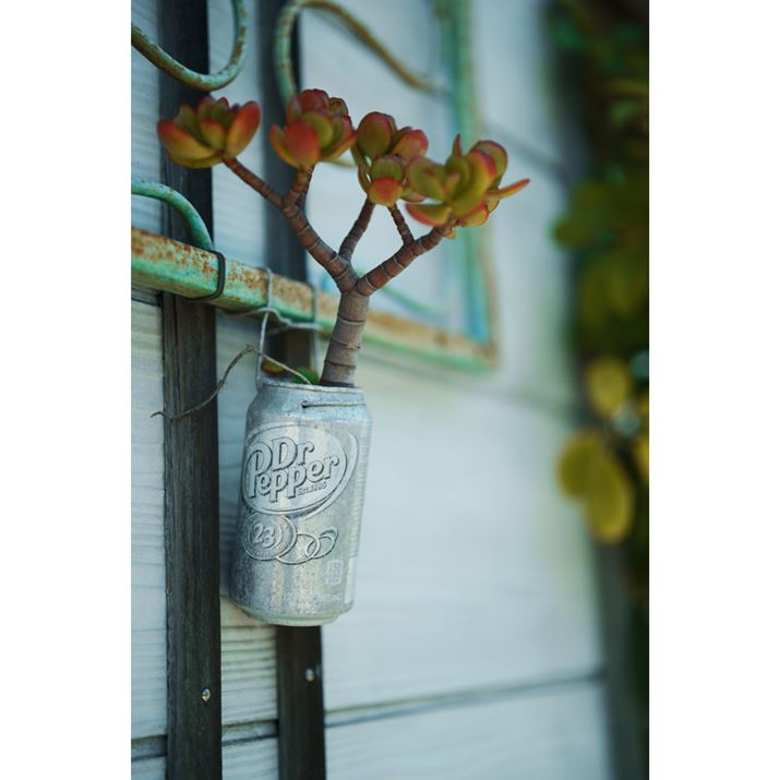 fp LA50mm F1.4 DG DNAF1.4A1/3200bAISO100AzCgoXFI[giFcjAJ[[hFpE_[u[AAXyNgF3:2Beʐ^i6328×9520A29.1MBj