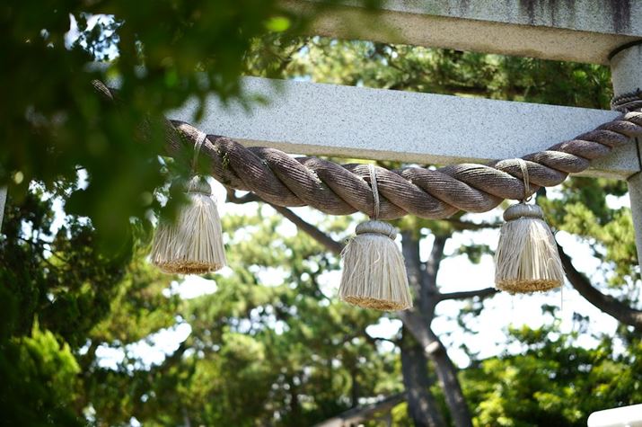 fp LA50mm F1.4 DG DNAF1.6A1/800bAISO100AzCgoXFI[giFcjAJ[[hFiAAXyNgF3:2Beʐ^i9520×6328A29.6MBj