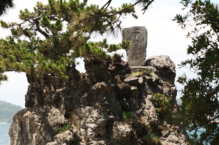 _Ђ̗ɂ͏̖؂BĂO_Ђ̎؂܂Ŕ򗈂Aǂɍt̂ƌĂ邻łfp LA50mm F1.4 DG DNAF4.0A1/640bAISO100AzCgoXFI[giFcjAJ[[hFEH[S[hAAXyNgF3:2Beʐ^i3840×2552A5.8MBj