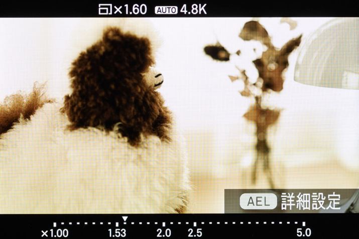 NbvY[̂́AʏBeɃs`AEgA܂̓s`CŎBë𒼊IɌ߂܂B̑쐫ɕ֗ł